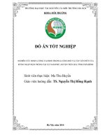 tóm tắt NGHIÊN CỨU ĐỊNH LƯỢNG CACBON TRONG LƯỢNG RƠI VÀ CÂY GỖCHẾT CỦA  RỪNG NGẬP MẶN TRỒNG TẠI XÃ NAM PHÚ, HUYỆN TIỀN HẢI, TỈNH THÁI BÌNH