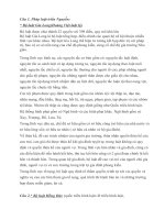 lich su nha nuoc va phap luat