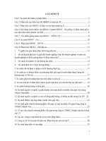 Câu hỏi ôn tập Luật Kinh Tế