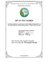 ĐÁNH GIÁ HIỆU QUẢ GIAO ĐẤT LÂM NGHIỆP CHO HỘ DÂN TẠI  XÃ MINH THANH - HUYỆN SƠN DƯƠNG - TỈNH TUYÊN QUANG