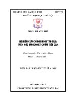 Nghiên cứu chỉnh hình tai giữa trên hốc mổ khoét chũm tiệt căn (tóm tắt)