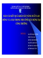 Khảo sát năng suất lao động và an toàn lao động tại công trường