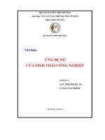Tiểu luận kĩ thuật môi trường ứng dụng kỹ thuật sinh thái trong công nghiệp
