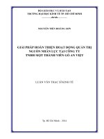 Giải pháp hoàn thiện hoạt động quản trị nguồn nhân lực tại công ty TNHH một thành viên gỗ an việt 