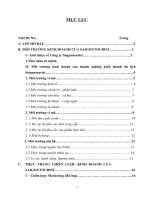 Bài tập nhóm môn quản trị chiến lược nghiên cứu công ty dịch vụ lữ hành saigontourist 