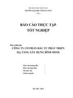 Thực trạng hoạt động sản xuất kinh doanh của công ty cổ phần ĐTPTHT xây dựng bình minh  