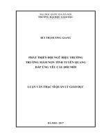 Phát triển đội ngũ hiệu trưởng trường mầm non tỉnh tuyên quang đáp ứng yêu cầu đổi mới 