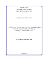 Nguyên nhân và điều kiện của tội vi phạm qui định về tham gia giao thông đường bộ trên địa bàn tỉnh Tiền Giang