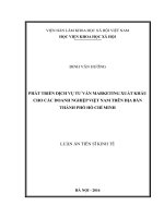 Phát triển dịch vụ tư vấn marketing xuất khẩu cho các doanh nghiệp Việt Nam trên địa bàn thành phố Hồ Chí Minh