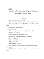 Phân tích chiến lược kinh doanh công ty TNHH Thương mại và Dịch vụ Sen Nam Thanh