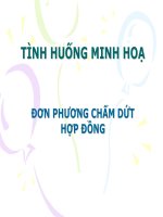 Tình huống minh họa đơn phương chấm dứt hợp đồng