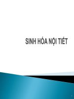 Bài giảng sinh hóa nội tiết