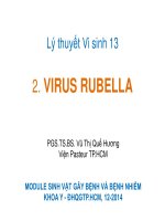 Lý thuyết vi sinh Virus Rubella