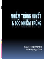 Nhiễm trùng huyết và sốc nhiễm trùng