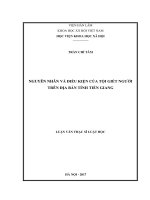 Nguyên nhân và điều kiện của tội giết người trên địa bàn tỉnh tiền giang 