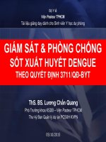 GIÁM SÁT  PHÒNG CHỐNG SỐT XUẤT HUYẾT DENGUE
