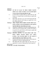 LUẬN văn THẠC sĩ KINH tế CHÍNH TRỊ   PHÁT TRIỂN NGUỒN NHÂN lực CHẤT LƯỢNG CAO NGÀNH DỊCH vụ DU LỊCH THÀNH PHỐ hà nội