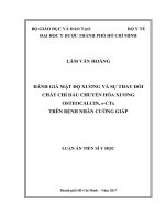 Đánh giá mật độ xương và sự thay đổi các chất chỉ dấu chuyển hóa xương osteocalcin, s CTx trên bệnh nhân cường giáp 