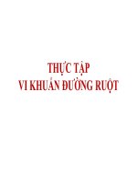 Thực tập vi khuẩn đường ruột