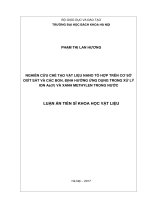 Nghiên cứu chế tạo vật liệu nano tổ hợp trên cơ sở oxít sắt và các bon, định hướng ứng dụng trong xử lý ion As(V) và xanh methylen trong nước