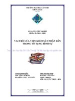 Vai trò của viện kiểm sát nhân dân trong tố tụng hình sự