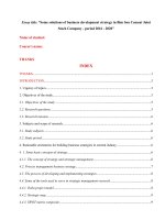 Some solutions of business development strategy in Bim Son Cement Joint Stock Company  period 2016  2020