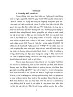 Thẩm quyền xét xử phúc thẩm vụ án hình sự theo pháp luật tố tụng hình sự việt nam từ thực tiễn thành phố đà nẵng (tt) 