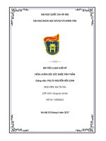 BÀI TIỂU LUẬN CUỐI KỲ MÔN CHĂM SÓC SỨC KHỎE TÂM THẦN