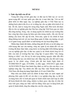 Quản lý Tài chính tại Học viện Thanh thiếu niên Việt Nam (tt)