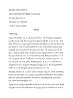 BÀI TIỂU LUẬN CUỐI KÌ MÔN CHĂM SÓC SỨC KHỎE TÂM THẦN