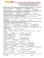 Đề thi thử THPT Quốc gia môn tiếng Anh năm 2017 CÓ ĐÁP ÁN 