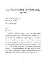 BÀI CUỐI KÌ MÔN CTXH VỚI NHÓM MA TÚY, MẠI DÂM