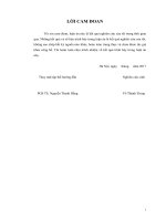 Nghiên cứu xác định các thông số công nghệ xử lý rong lục Việt Nam và lên men ethanol góp phần phát triển cồn nhiên liệu