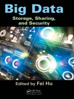Big data storage sharing and security 