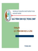 Quá trình sinh học lơ lửng