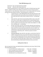 Tóm tắt nội dung Vụ án vilexim