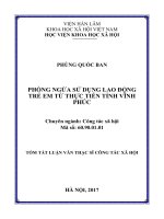Phòng ngừa sử dụng lao động trẻ em từ thực tiễn tỉnh vĩnh phúc (tt)