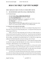 tình hình tài chính của công ty cổ phần đông thành 