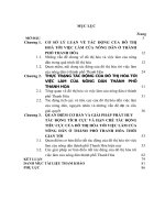 LUẬN văn THẠC sĩ KINH tế CHÍNH TRỊ   tác ĐỘNG của đô THỊ hóa đến VIỆC làm của NÔNG dân THÀNH PHỐ THANH hóa HIỆN NAY