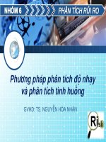 phân tích rủi ro tài chính
