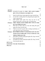 LUẬN văn THẠC sĩ KINH tế CHÍNH TRỊ   GIẢM NGHÈO bền VỮNG ở TỈNH hà NAM HIỆN NAY