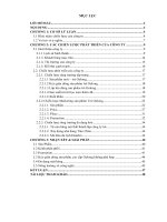 Tìm hiểu và sưu tầm chiến lược phát triển công ty trà và cafe tâm châu