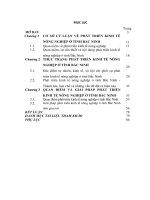 LUẬN văn THẠC sĩ KINH tế CHÍNH TRỊ   PHÁT TRIỂN KINH tế NÔNG NGHIỆP ở TỈNH bắc NINH