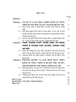 LUẬN văn THẠC sĩ  KINH tế CHÍNH TRỊ   PHÁT TRIỂN KINH tế NÔNG THÔN ở HUYỆN PHÚ XUYÊN, THÀNH PHỐ hà nội