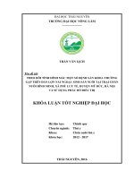 Theo dõi tình hình mắc một số bệnh sản khoa thường gặp trên đàn lợn nái ngoại sinh sản nuôi tại trại chăn nuôi bình minh, xã phù lưu tế   huyện mỹ đức   hà nội và sử dụng phác đồ điều t 