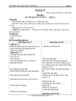 Gián án tuần 12 lớp 2 môn toán và tiếng việt