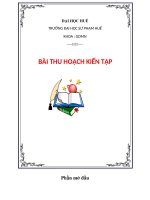 bài thu hoach kiến tập   giáo dục mầm non