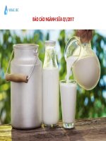 Vie_-Báo-cáo-Sữa-VN-Q1.2017-Comprehensive-preview