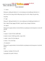 Đề thi thử THPT Quốc gia năm 2017 môn Tiếng Anh trường đại học Ngoại thương