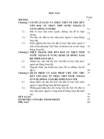 LUẬN văn THẠC sĩ KINH tế CHÍNH TRỊ   THU hút vốn đầu tư TRỰC TIẾP nước NGOÀI ở ĐÔNG NAM bộ HIỆN NAY